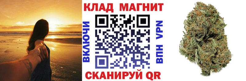 Купить закладку Канабис  APVP  ГАШИШ  Меф  Завитинск
