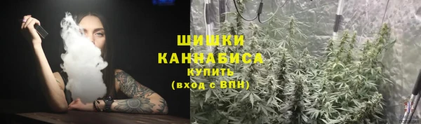 гашик Зерноград