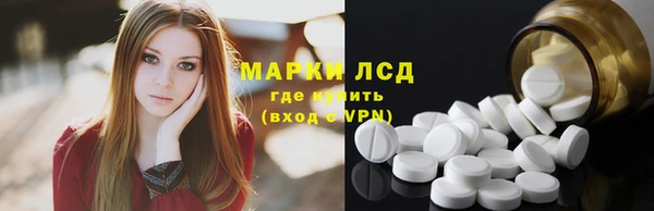 соль ск Зеленодольск
