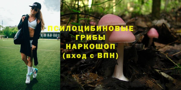 соль ск Зеленодольск