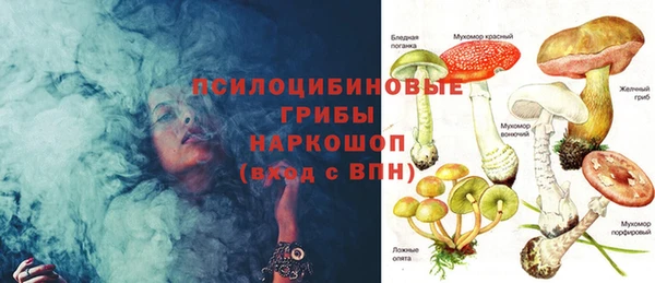 гашик Зерноград