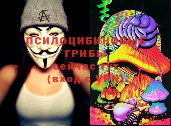 гашик Зерноград