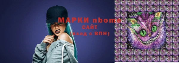 соль ск Зеленодольск