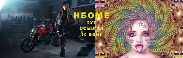 гашик Зерноград