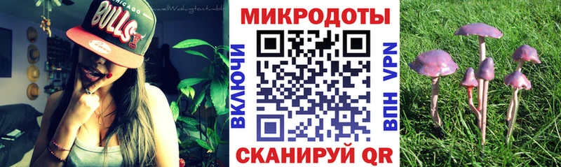 Галлюциногенные грибы Cubensis  Купить закладки  Завитинск 